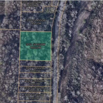 3712 GLASGOW HOLLOW RD ADAMSVILLE AL 35073 – Acre – 0.95